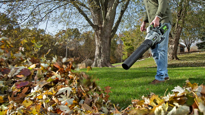 Greenworks Electric Leaf Blower Vs. Cordless Leaf Blower