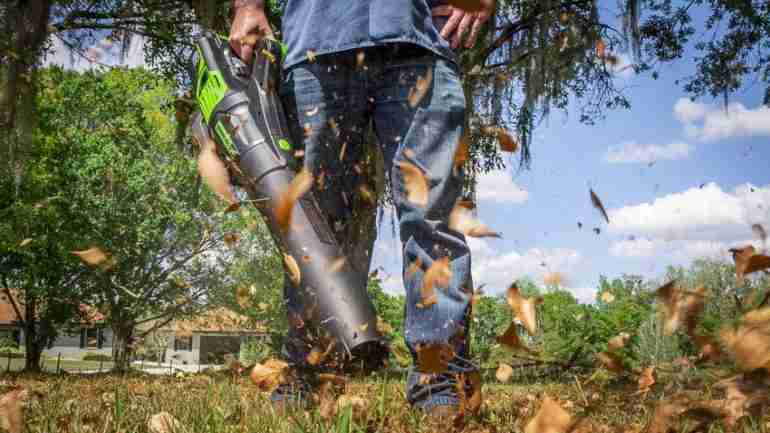 Greenworks Electric Leaf Blower Vs. Cordless Leaf Blower