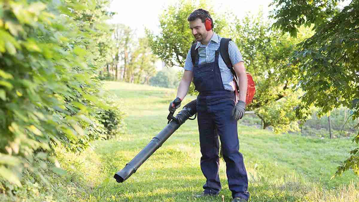 Ryobi Gas Leaf Blower Noise