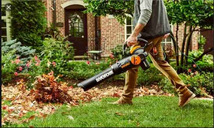 Best Handheld Leaf Blower Reviews of 2020