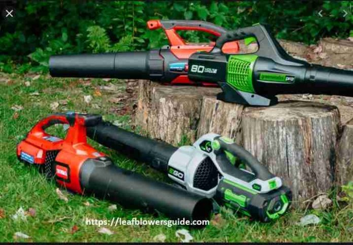 Leaf Blower For a Big And Large Back Yard