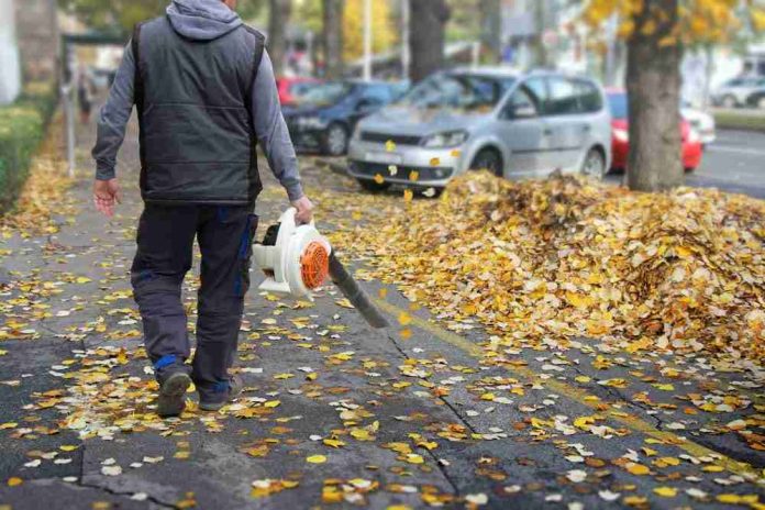 Top 5 Best Leaf Blower For Gravel Driveway in 2020