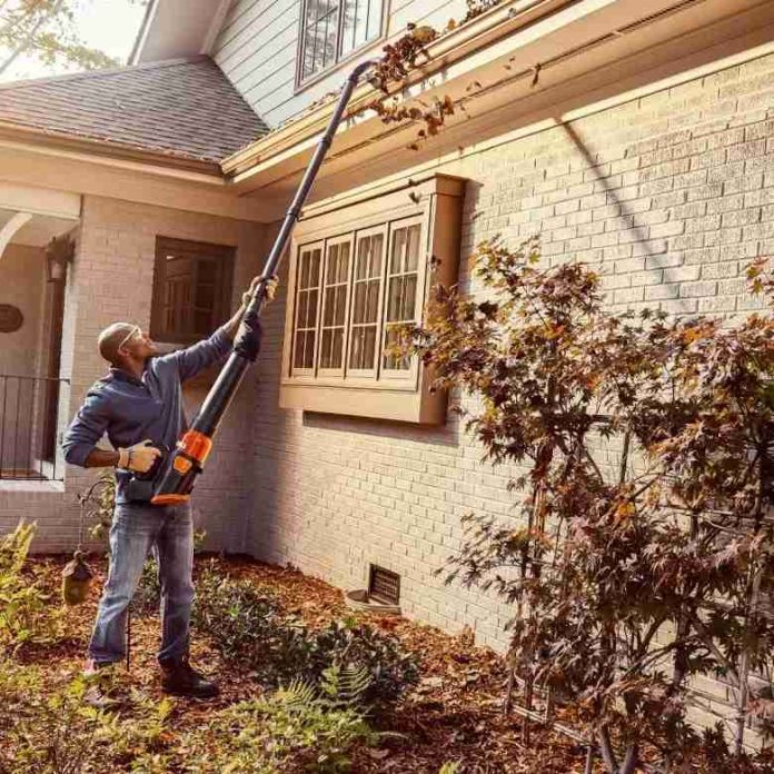 Top 5 Best Leaf Blowers For Cleaning Gutters in 2020