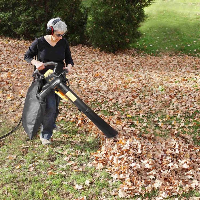 TECCPO Leaf Vacuum