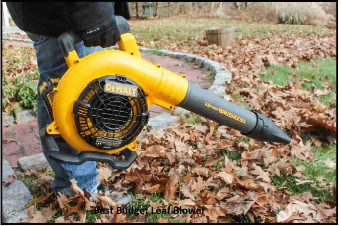 Best Budget Leaf Blower