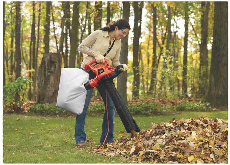 Black + Decker 2 in 1 Leaf Blower and Vacuum