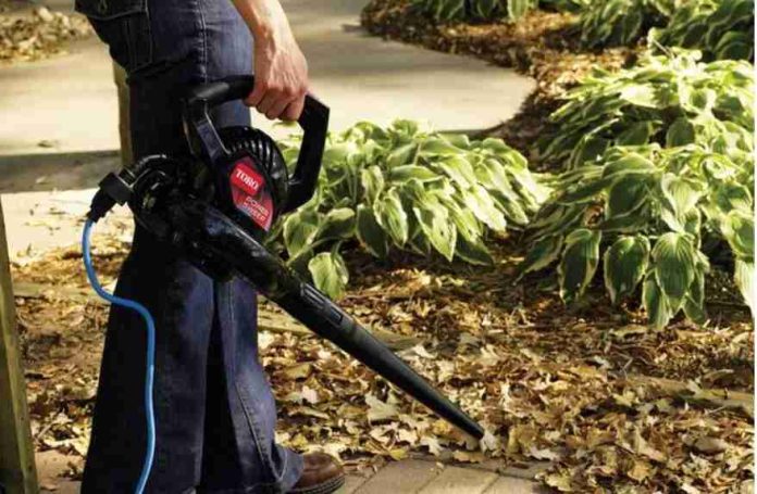 Best leaf blower under 50