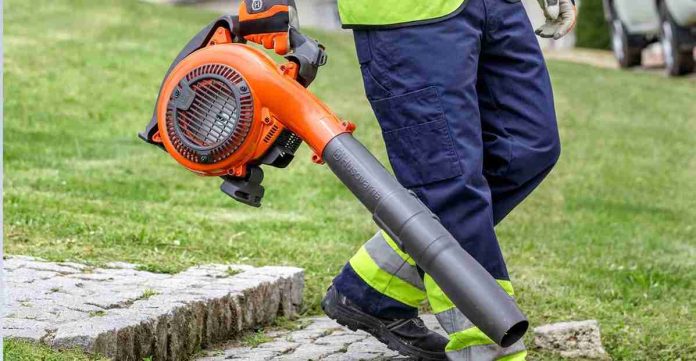 Echo PB 250LN Handheld Gas Blower Leaf