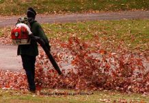 Best Leaf Blower Gas vs. Electric