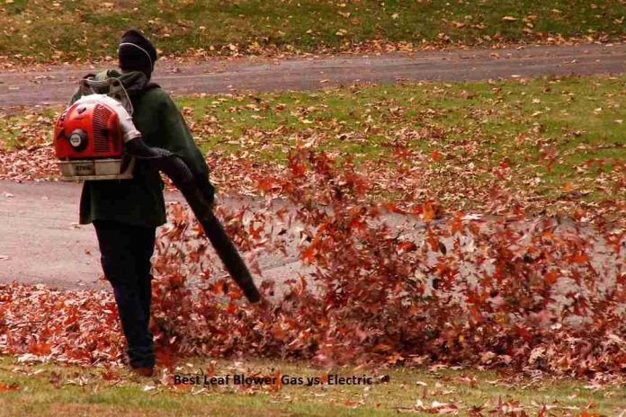 Best Leaf Blower Gas vs. Electric