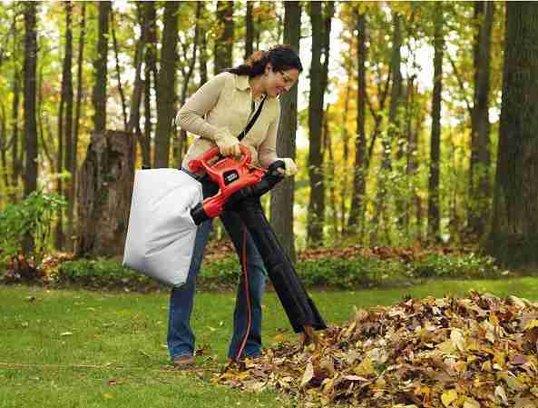 Black & Decker BV6600 vs BV6000 Leaf Blower