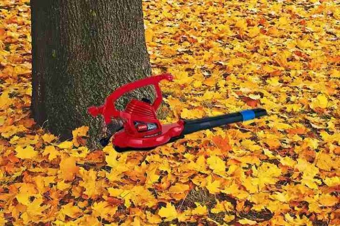 Toro F700 vs Worx WG520 Leaf Blower