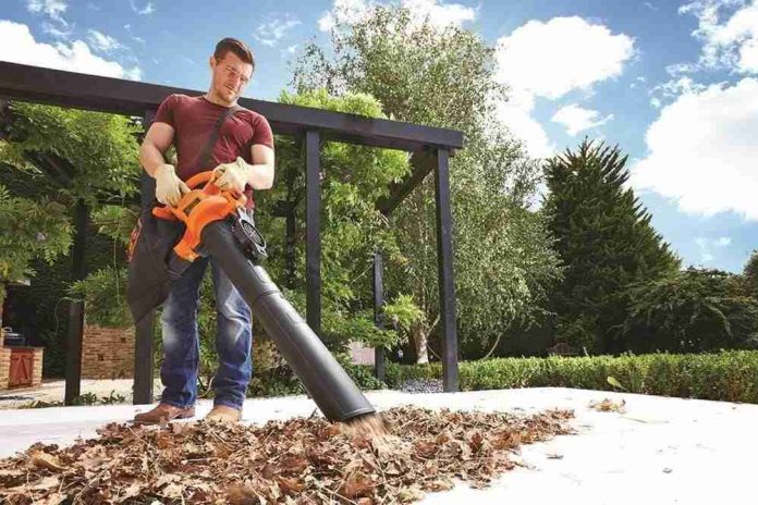 Black and Decker Leaf Blower GW2500