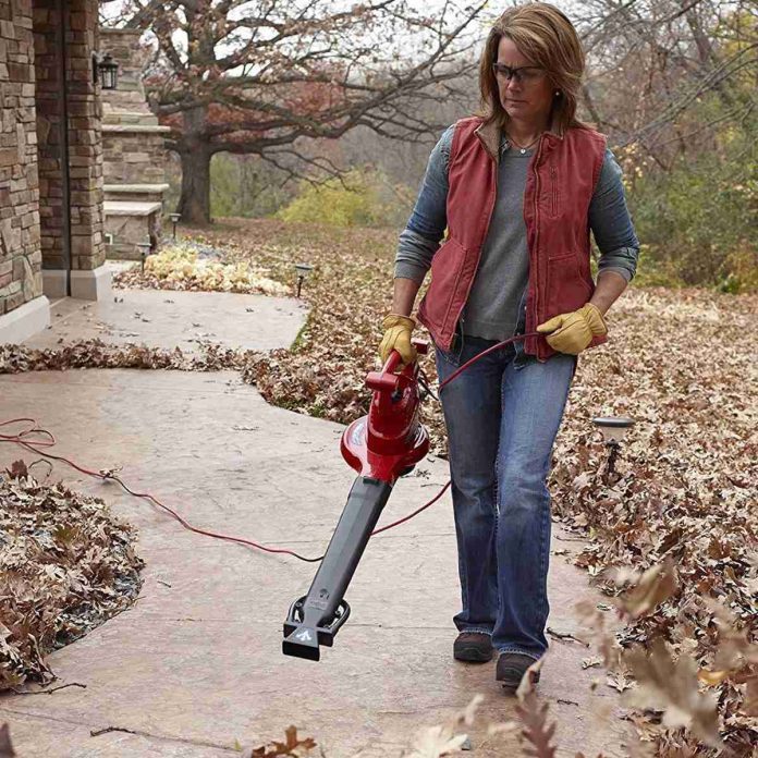 Toro 300 Air Rake Leaf Blower