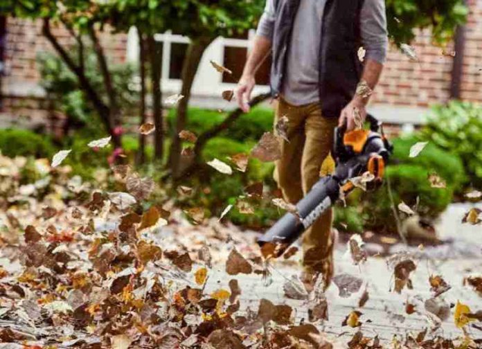 WORX WG521 Leaf Blower