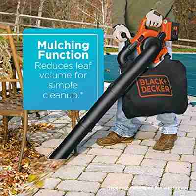 BLACK and DECKER LSWV36 Leaf Blower