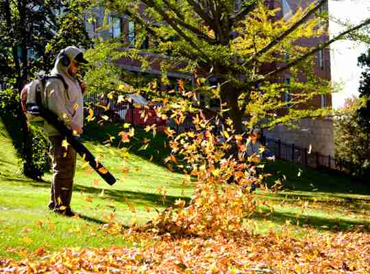 Backpack Leaf Blower Canada