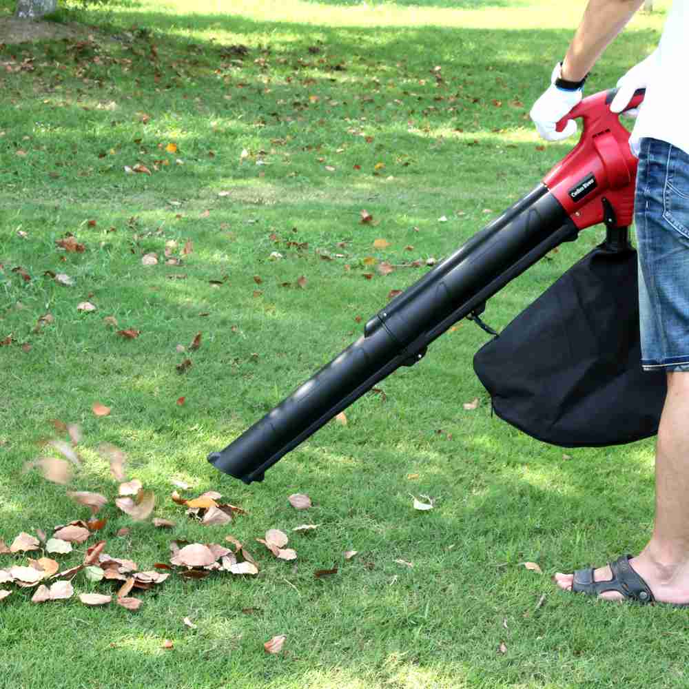 Cordless Leaf Blower Vacuum