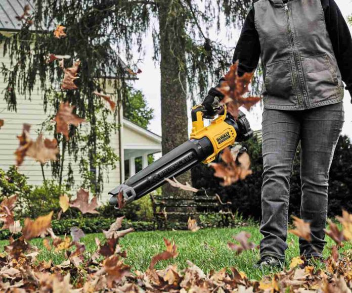 Gas Leaf Blower