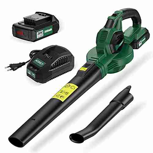 aokey 20v 48w cordless garden blower 2 speed modes 2000 mah detachable