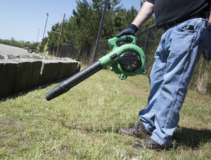 Hitachi RB24EAP Leaf Blower Gas Powered