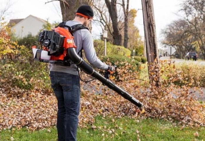 Best Echo Backpack Leaf Blower Canada