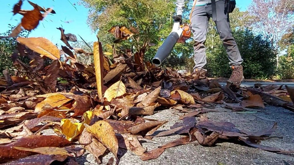 Are There Environmentally Friendly Options For Leaf Blowers?