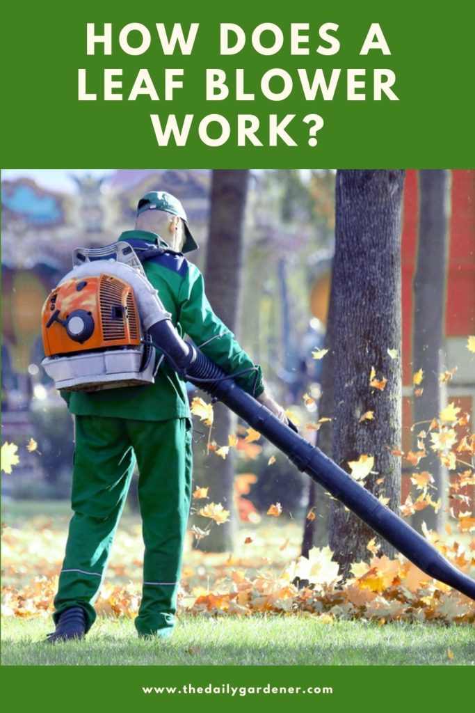 How Does A Leaf Blower Work?