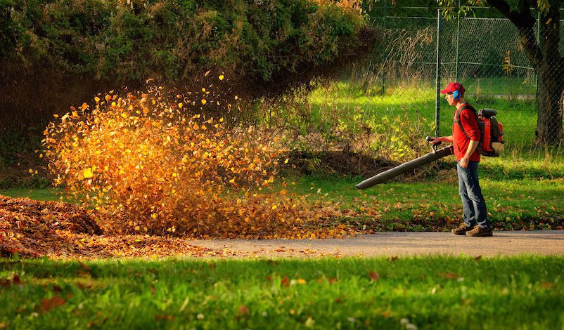 How Loud Are Leaf Blowers?