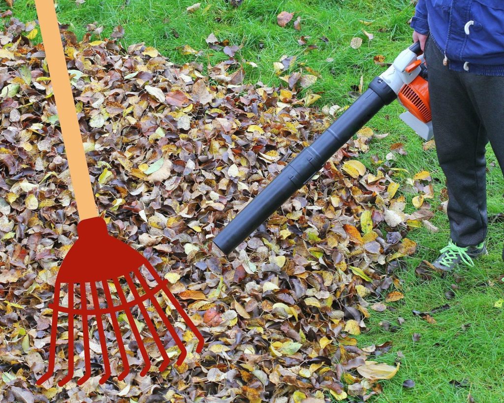 Is It Better To Rake Leaves Or Use A Blower?