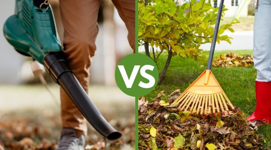 Is It Better To Rake Leaves Or Use A Blower?