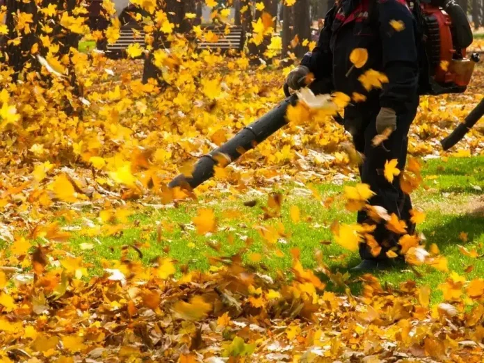 What Time Is Too Early For A Leaf Blower