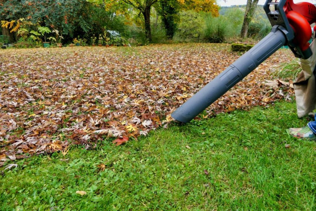 Are Leaf Blowers Effective For Clearing Leaves From Grassy Areas?