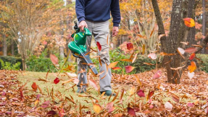 are leaf blowers effective for clearing leaves from grassy areas 4 scaled