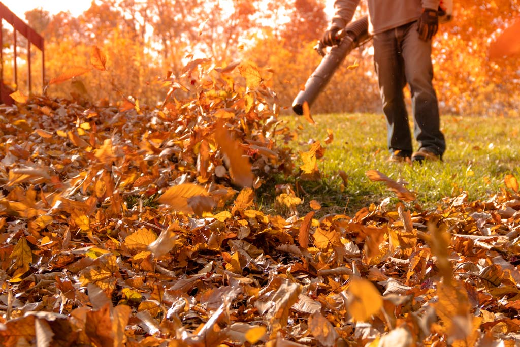 Are Leaf Blowers Effective For Clearing Leaves From Grassy Areas?