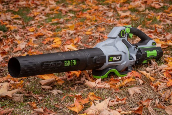 are leaf blowers worth it 5