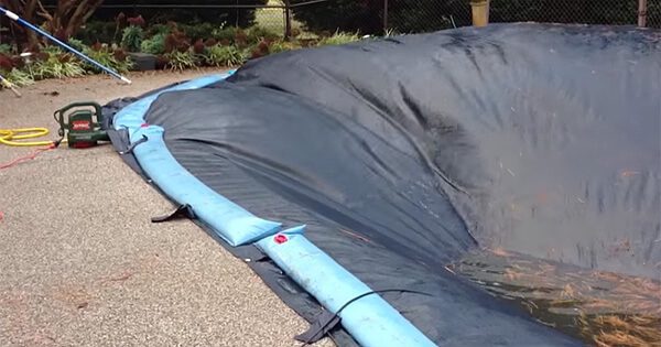 Can I Use A Leaf Blower To Clear Leaves From My Pool Cover?