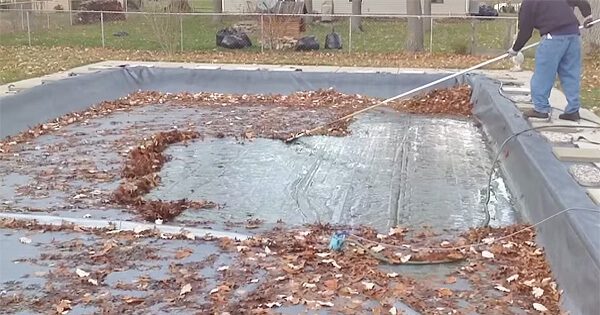 Can I Use A Leaf Blower To Clear Leaves From My Pool Cover?