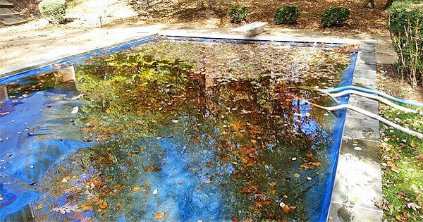 can i use a leaf blower to clear leaves from my pool cover 4