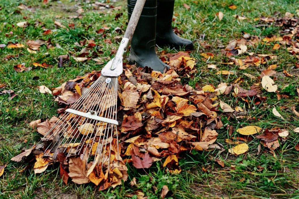 Can Leaf Blowers Damage Plants Or Grass?