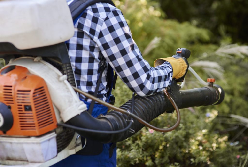 Can Leaf Blowers Damage Plants Or Grass?