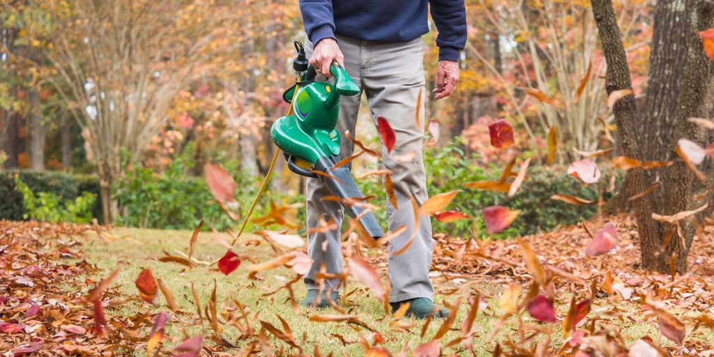 Can You Use A Leaf Blower On Wet Leaves?