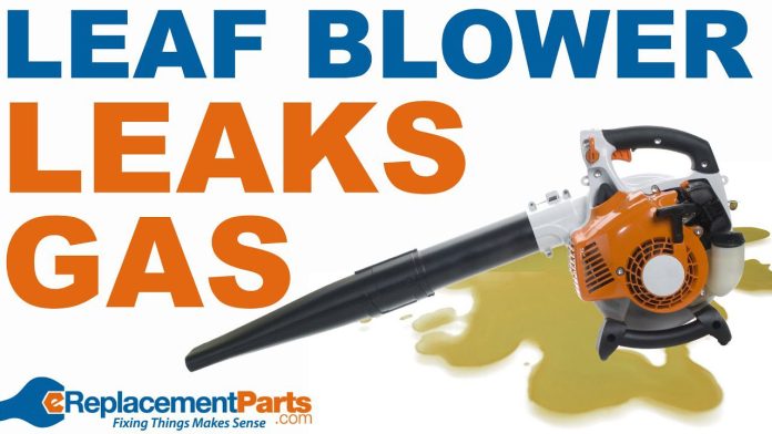 how do you fix leaf blower that is leaking gas