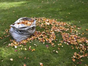 How Do You Properly Dispose Of Leaf Debris After Blowing Leaves?