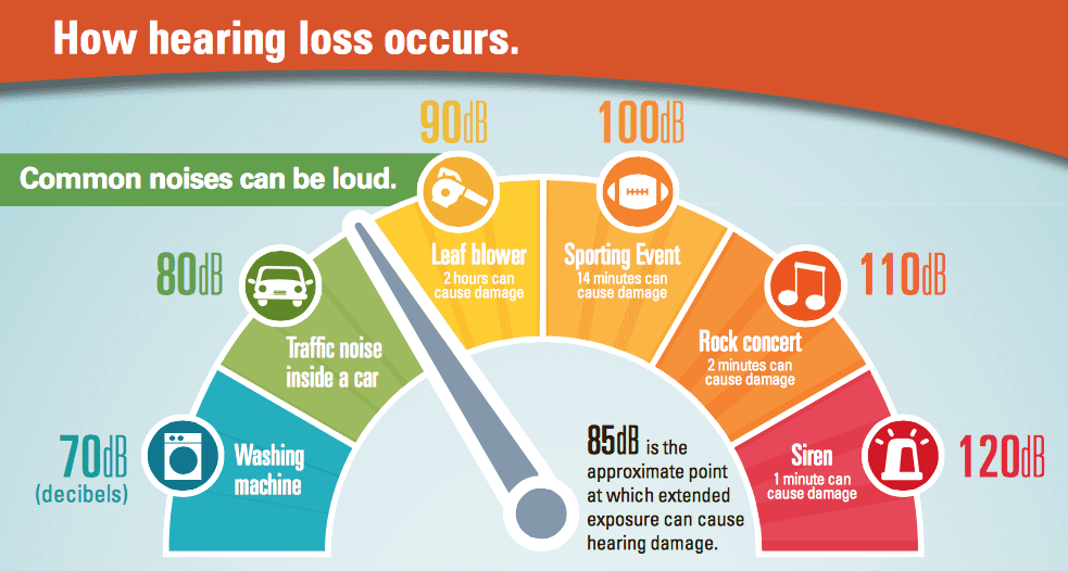 How Loud Are Leaf Blowers?