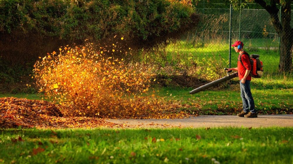 How Loud Are Leaf Blowers?