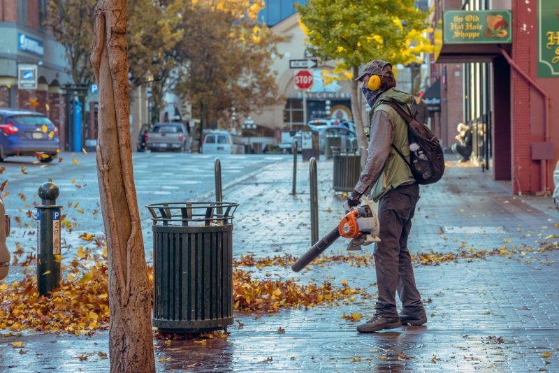 How Much Should I Pay For A Leaf Blower?