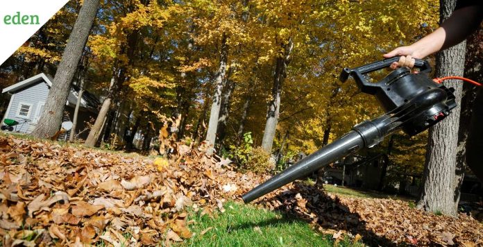 how much should i spend on a leaf blower 2