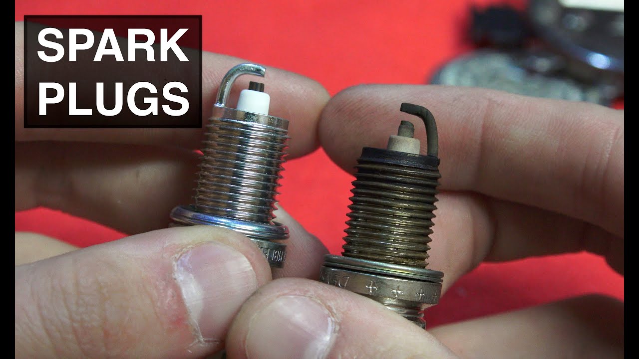 how often should you change the spark plug in a gas leaf blower 3