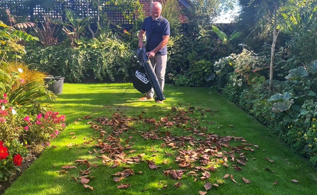 Should You Leaf Blower Before Or After Mowing?